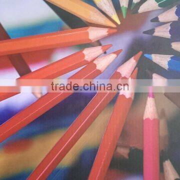 Audley 1.9m Multicolor Dx7 Head Eco Solvent Printer ADL-A1971 photo-3