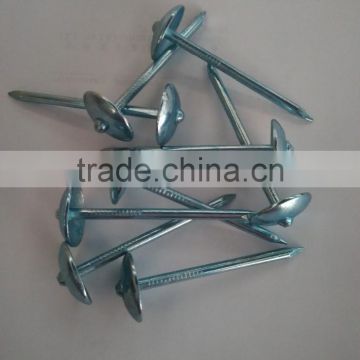 blue galvanized roofing nails to Indonesia