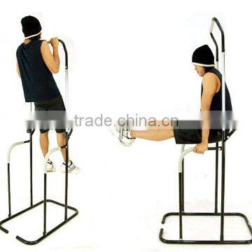 Professional Body Building Equipment power tower