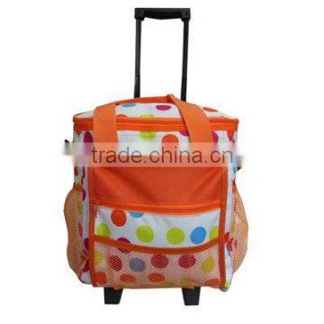 Hot Selling Cooler bag