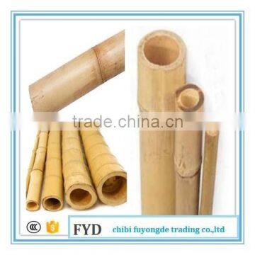 Dry Straight Bamboo Canes/bamboo poles