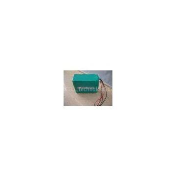 Customized 36V 9Ah LifePO4 Battery Pack For E-motor, Electric Bike