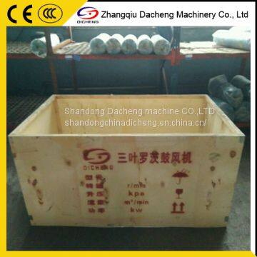 DSR125V Lowest Price World Best Industrial Roots Blower photo-5