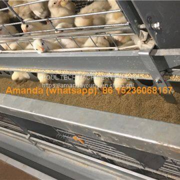 Ghana Poultry House Automatic Pullet Chicken Cage & Battery Small Layer Cage in Chicken Shed