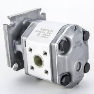 601514/r Diesel Marzocchi Alp Hydraulic Gear Pump Machinery