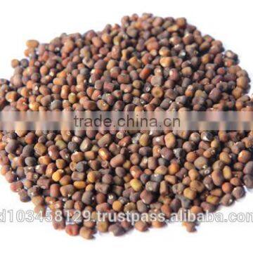 Pueraria Javanica " Leguminous Covercrop"