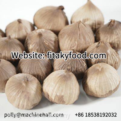 Halal Black Garlic Manufacturer photo-3