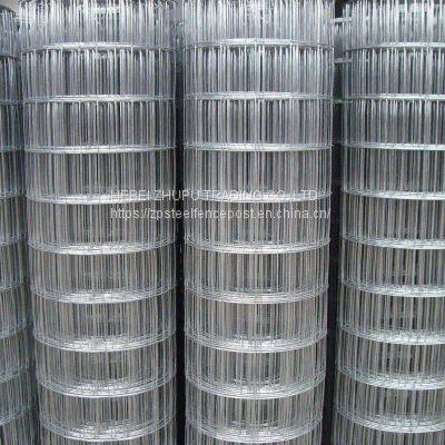 Factory Price Galvanized Hexagonal Chicken Wire Mesh for Fence and Plastering