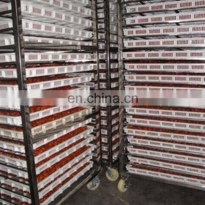 Fruit Drying Machine/dehydration Machine/industrial Food Dehydrator photo-5