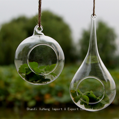 Terrarium Ball Globe Shape Clear Hanging Glass Vase Flower Plants Container Landscape DIY Wedding Home Decoration