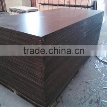Construction Plywood