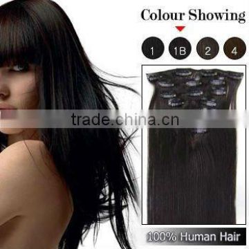 2012 Top Sale Clip In Hair Extension 100% Remy Hair