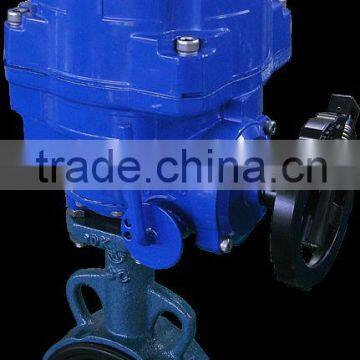 Electric Rotary Actuator