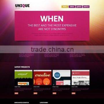 Web Designer photo-5