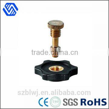 Furniture Hardware copper brass bolt manufacturer customized bolt nut