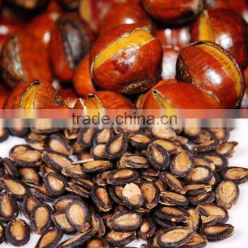 Chestnut Pine Nut Opener Equipment,Filbert Nut Opening Machine,Walnut Opening Machine photo-4