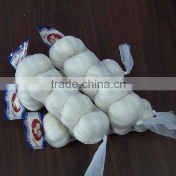 garlic type and fresh garlic in china