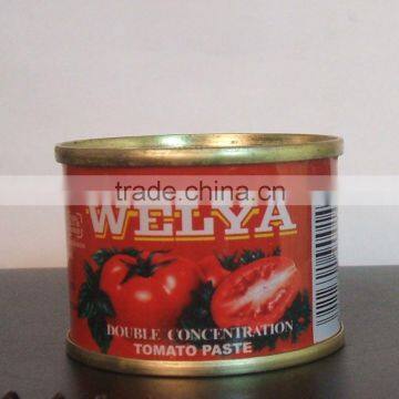 Printed 70gr Small Size Tomato Paste in Can
