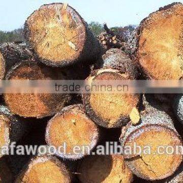Southern Yellow Pine Logs 20 cm and Up, 25 cm and up photo-2