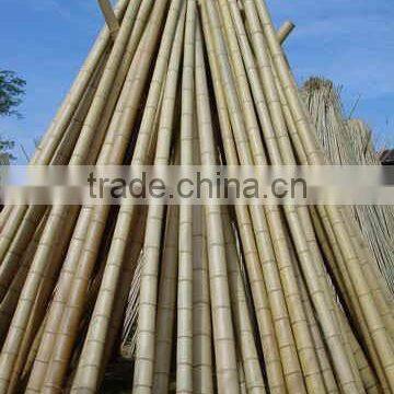 Nature Dry Straight Farming Bamboo Poles for sales