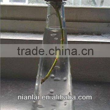 Plastic Flower Vase Mould injection molds die casting