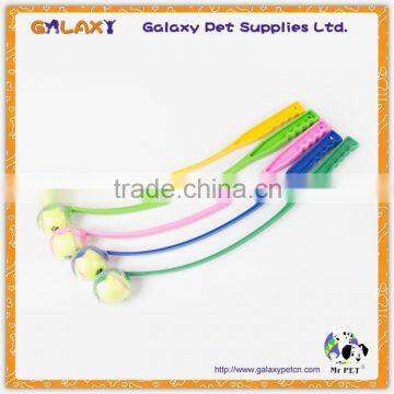 PT1413 Ball Throw Hot Pet Throw Ball Toy Dog Toy Tennis Ball photo-4