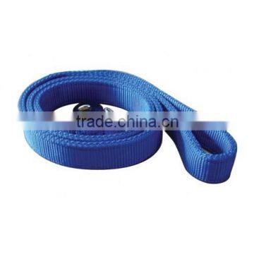 Extra thick dog lead with two lanyers stitched together