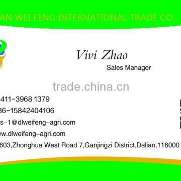 Chinese Roasted Buckwheat Kernel for Georgia Wholesale photo-4