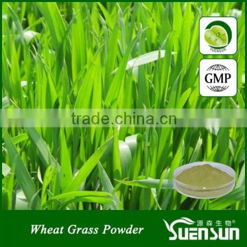 wheatgrass powder natural wheat grass powder organic wheatgrass powder