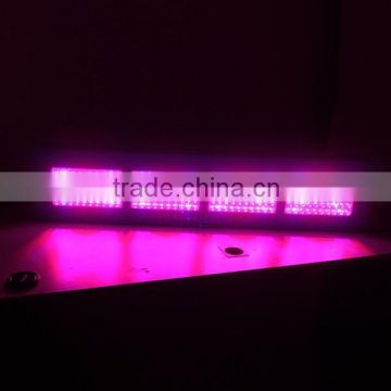 High power led grow light 5 watt * 200 1000w 11 band led grow light