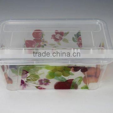 Plastic Lunch Box