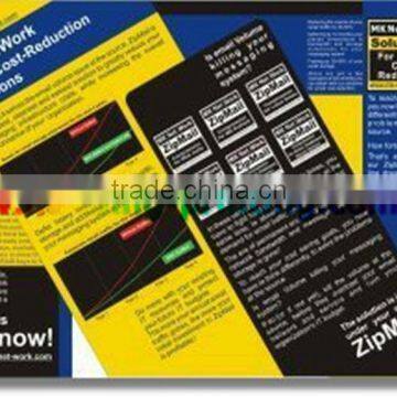 Fashion Accordion Brochure/Flyer Circular Printing Factory