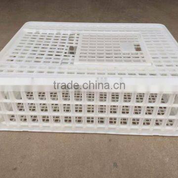 plastic fold transportion cages for poultry/chicken cages