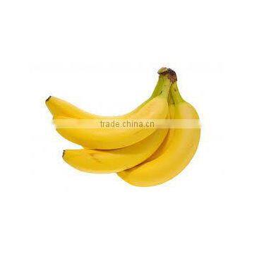 Price of Fresh Cavendish Banana photo-5
