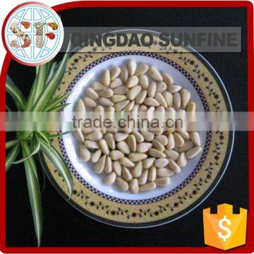 Raw organic pine nuts in shell