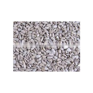 sunflower kernels Chinese organic dried sunflower seeds