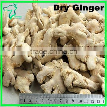 China Dry Ginger On Sale