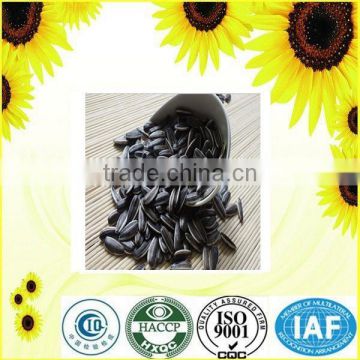 High quality hulled sunflower seeds specification