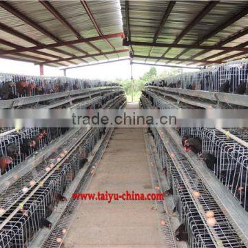 TAIYU Layer Cages in South Africa