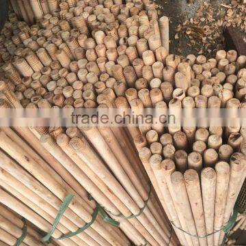 Natural Wood Stick for Planting Cucumber- Korea and Japan Market