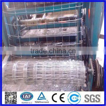 Galvanized Iron Wire Material and Rectangle Hole Shape farm fencing prices