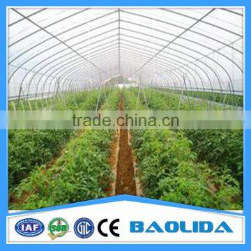 BaoLiDa Agricultural Greenhouse photo-3