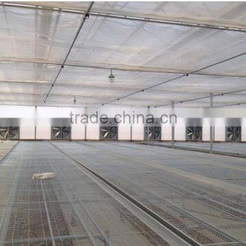 China Market Movable Seedbed Bed For Agricultural Greenhouse photo-2