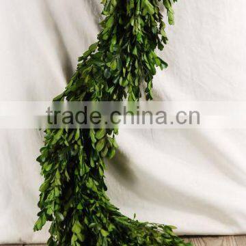 Preserved Boxwood Leaves Garland