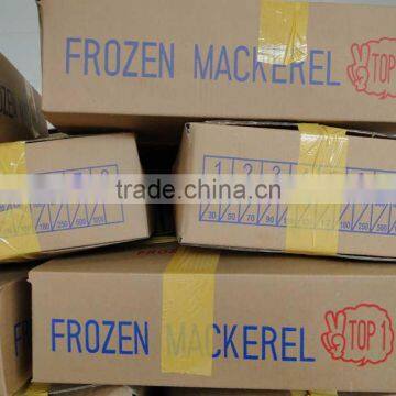 Frozen Pacific Mackerel Fish 250-350G photo-3