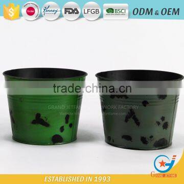 Garden Iron and Zinc Powder Coated Beautiful Flower Bucket Galvanized Buckets for Flowers