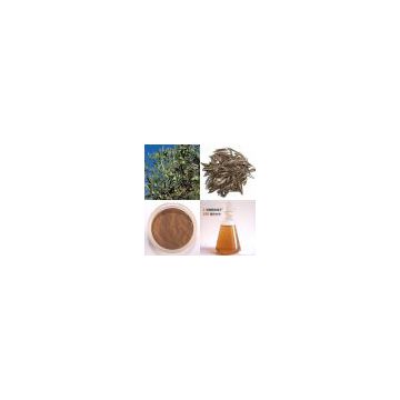 Origin China Hydroxytyrosol