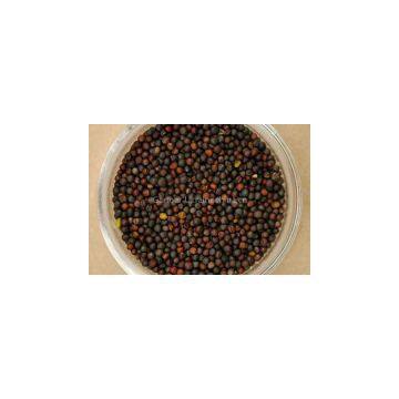 Rapeseed