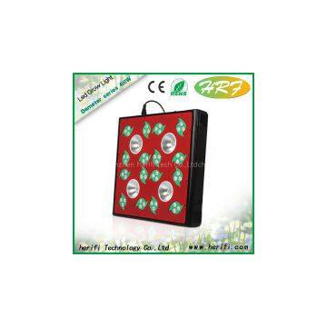 High Power Full Spectrum Grow Light Led Greenhouse Used Indoor Growing Led Grow Light photo-3