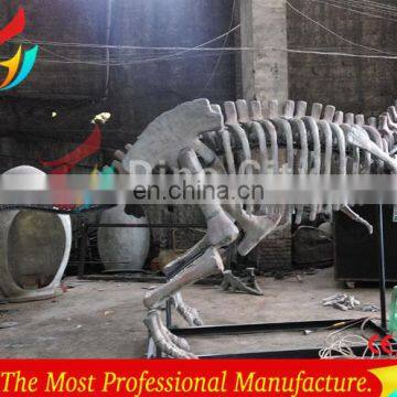 Life Size Skeleton Dinosaur Fossil For Museum